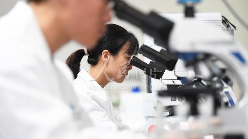 小标题：CRO优化团队的角色与重要性