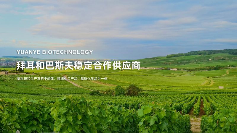 细胞培养基与微生物培养基：差异与选择要点
