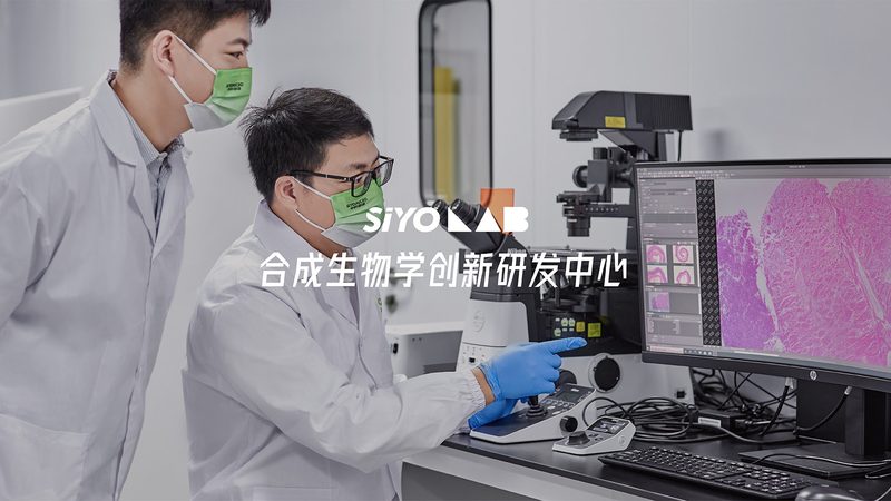 离心管：生产流程揭秘与质量控制要点