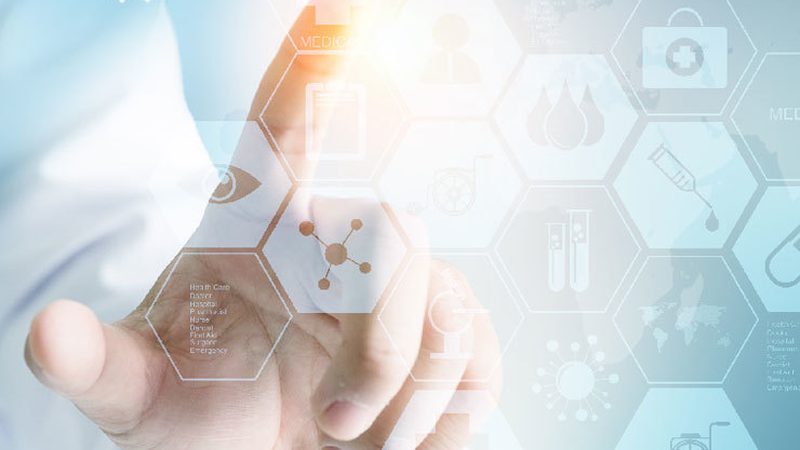 上海抗体研发外包公司的关键考量因素**