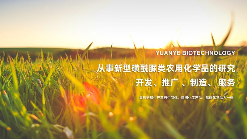 移液器品牌盘点：揭秘实验室必备工具的选购之道**
