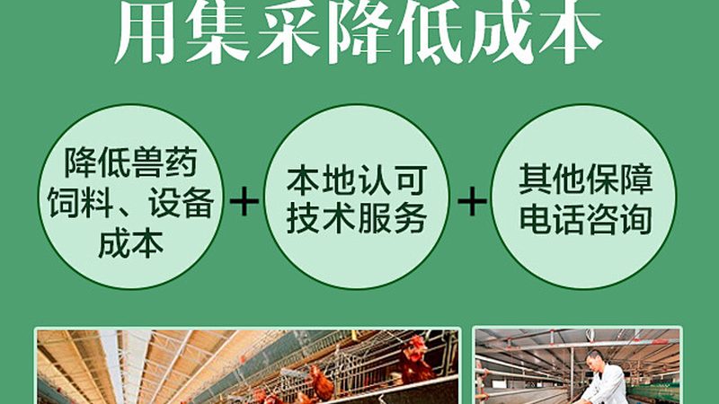 DNA连接酶：生命科学研究的“粘合剂”**