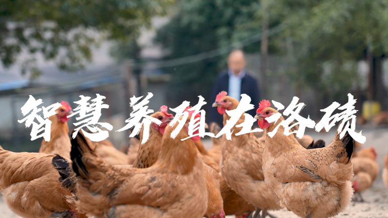 鼠抗人单克隆抗体储存条件：揭秘关键因素与标准**
