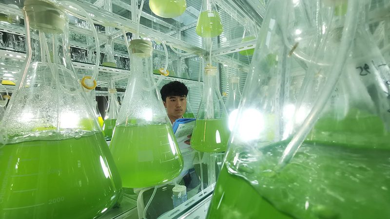 北京生物医药外包企业排名揭秘：如何选择靠谱合作伙伴**
